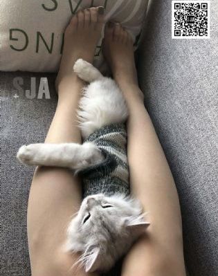 天上人间视频_BD国语神马影院手机在线