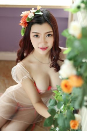 女神攻略调教系统_DVD全集免费播放
